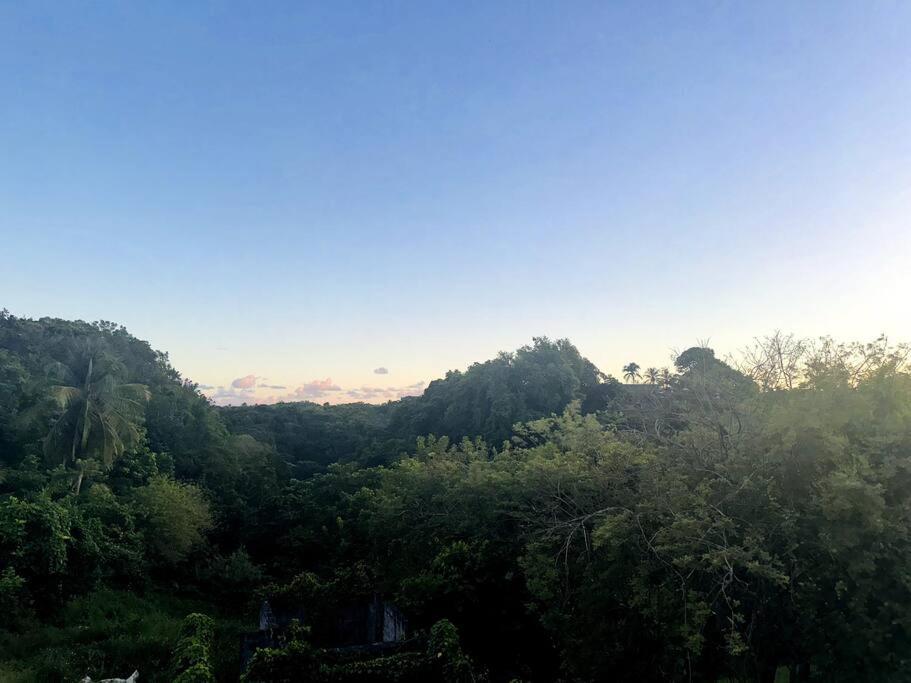 L'Ecrin De Verdure Sainte-Anne  Bagian luar foto